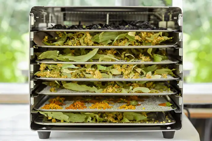 Food Dehydrator Image